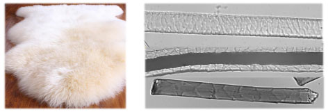 yth2206游艇会·(中国区)官方网站
