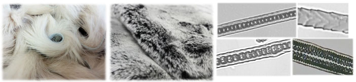 yth2206游艇会·(中国区)官方网站