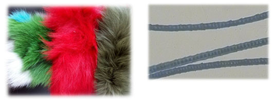 yth2206游艇会·(中国区)官方网站