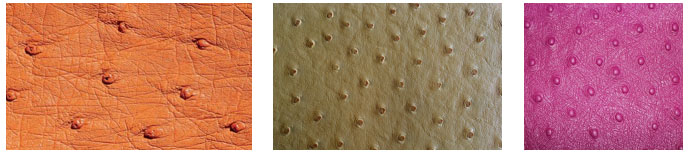 yth2206游艇会·(中国区)官方网站