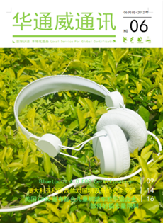 yth2206游艇会2012年6月刊通讯刊-质检汇报