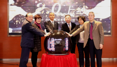 中检集团业务信息治理系统2.0建设大事记